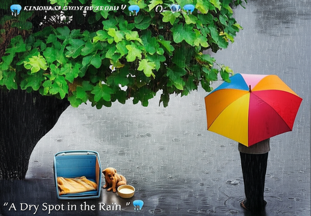 Story Image
